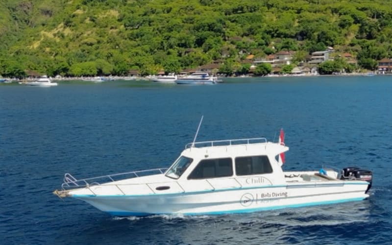 Day trip 3 fun dives in Nusa Penida and Lembongan - main image