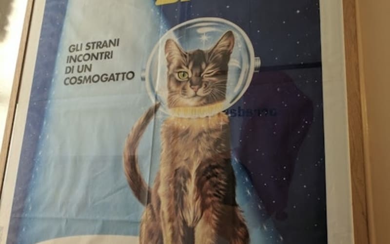 The Cat Cabinet: Entry Ticket - main image