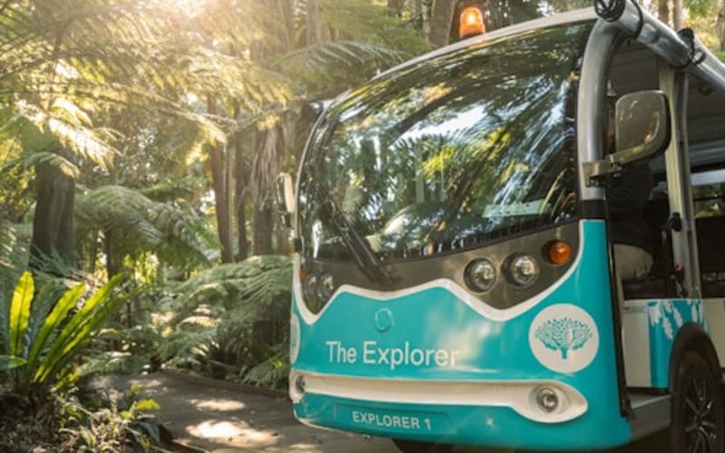The Explorer: Melbourne Gardens - main image