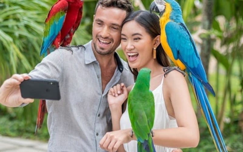 Bali Bird Park: Entry Ticket - main image