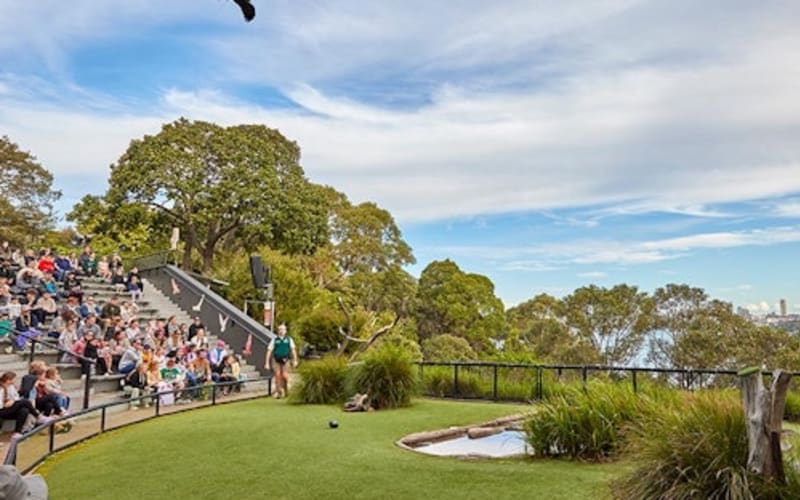 Taronga Zoo Sydney: Entry Ticket - main image
