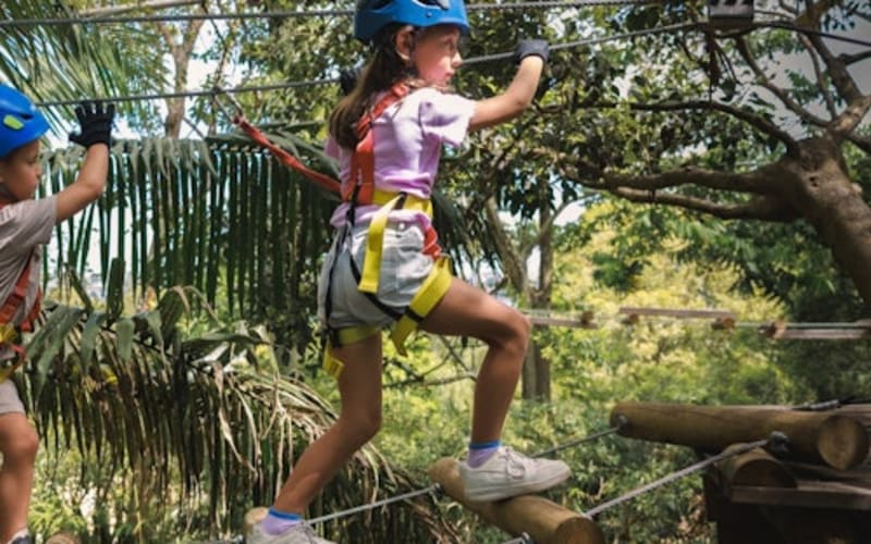 Treetops Adventure Nowra: Junior Ropes Course - main image