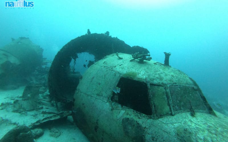 Half-Day Dive Trip 2 BOAT DIVES - main image