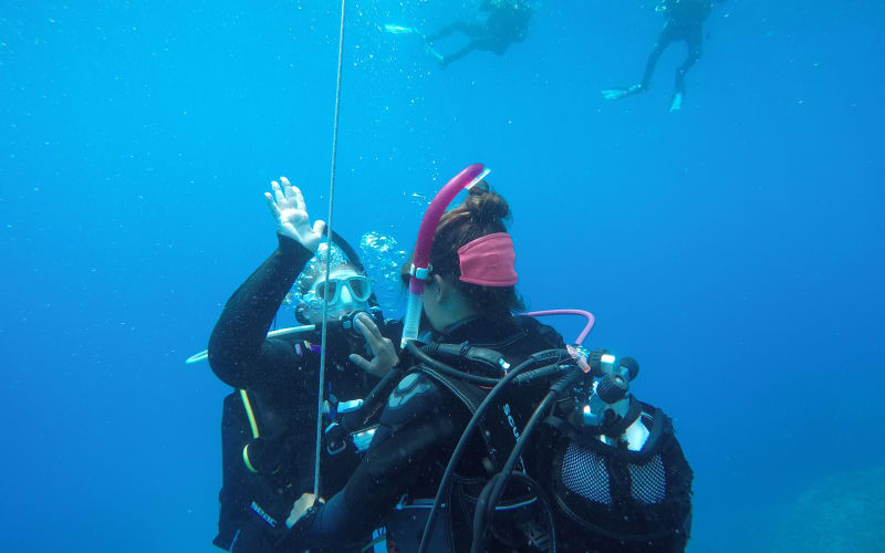 PADI Open Water Diver Course - main image