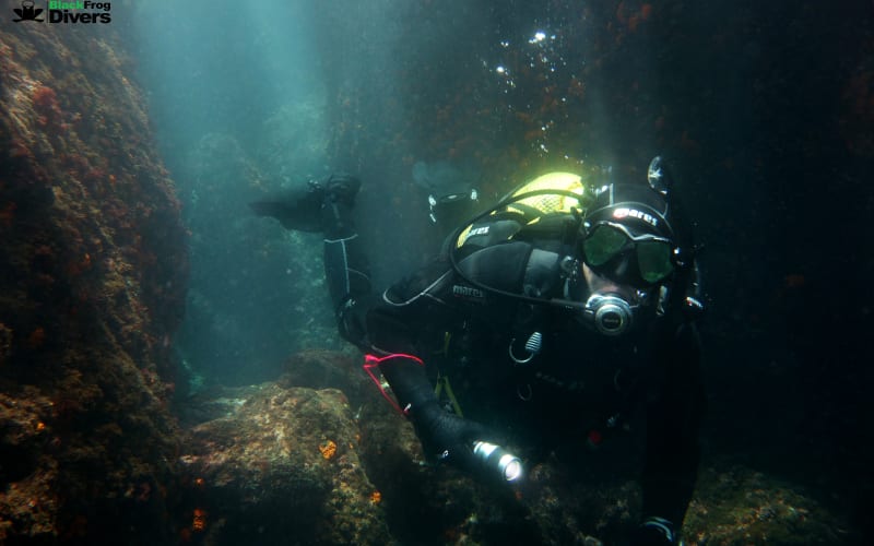 Full-Day Dive Trip - main image