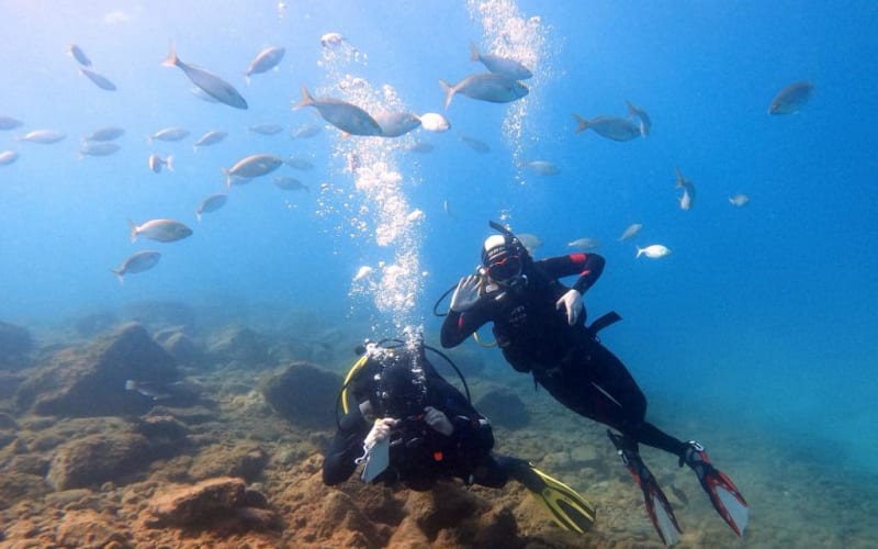PADI Open Water Diver Course - main image