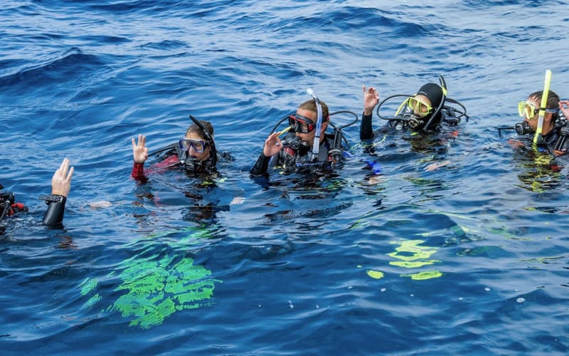 Half-Day Dive Trip - main image