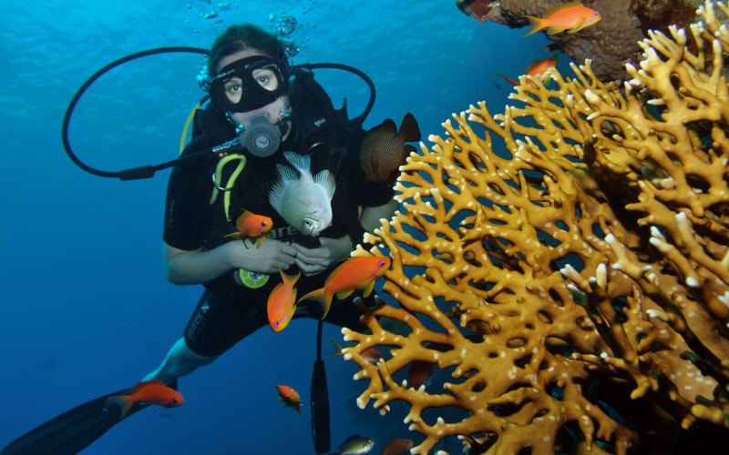 8 Dive by Boat or by Shore - main image