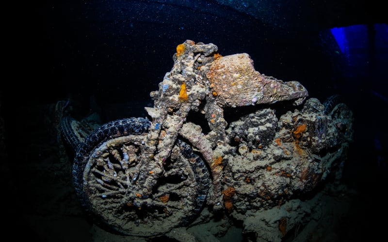Thistlegorm - main image
