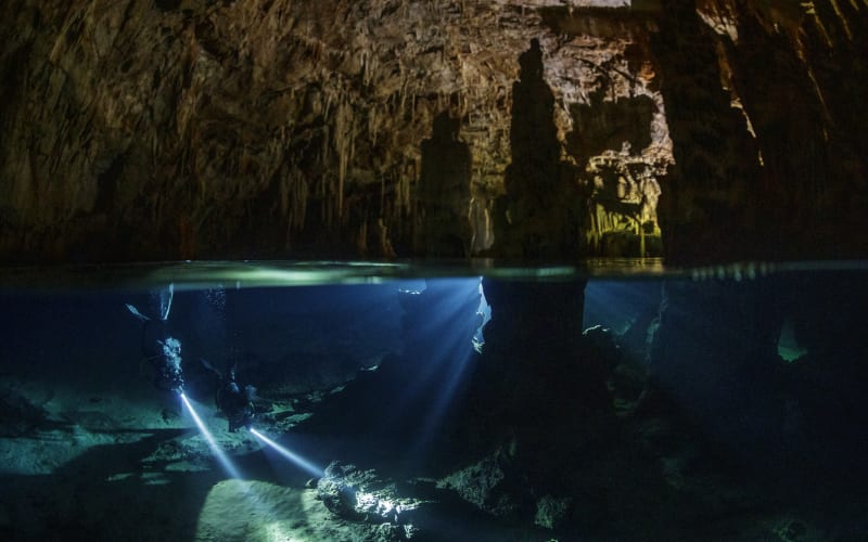 Elephant & Seal Caves Combo - main image
