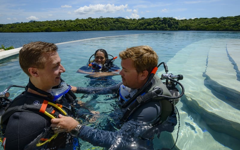 PADI Open Water Diver (E-learning) - main image