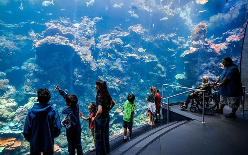 California Academy of Sciences General Admission Ticket - main image