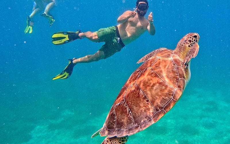  Culebra Swim with Turtles Adventure and Flamenco Beach by Ferry - main image