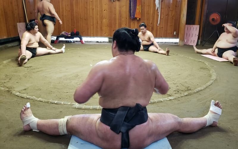 Sumo Practice Viewing Guided Tour and Photo with Sumo Wrestlers - main image