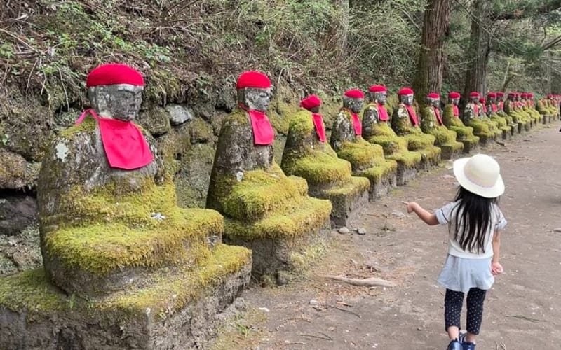 1 Day Nikko Walking Tour, Toshogu and Kanmangafuchi from Tokyo - main image