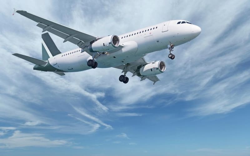 Private Arrival Transfer: Amman Airport to Petra Hotels - main image