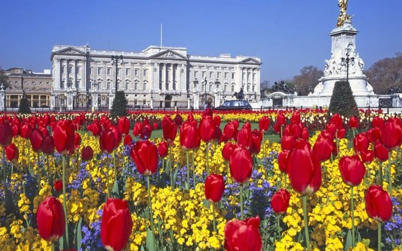 Buckingham Palace and Windsor Castle Self-Guided Tour with Coach - main image