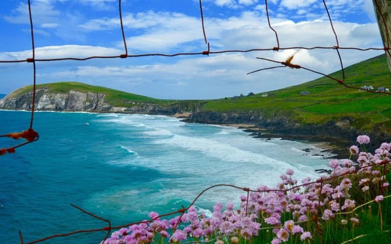 Luxury Photography Day Tour on Dingle Peninsula - Fully Guided and Chauffeured - main image