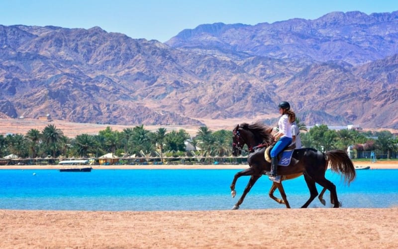 Adventure Safari By Horse In Dahab At Laguna Beach - main image