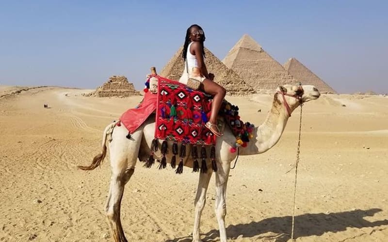 Desert Safari Around The Pyramids of Giza With Horseback Riding or Camel Riding - main image