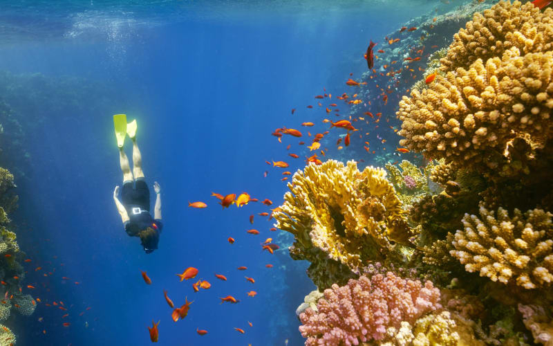 Snorkeling At Blue Hole with lunch from Dahab - main image