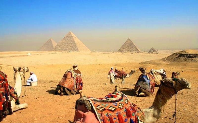Camel Ride Trip  Around  Giza Pyramids During Sunrise Or Sunset - main image