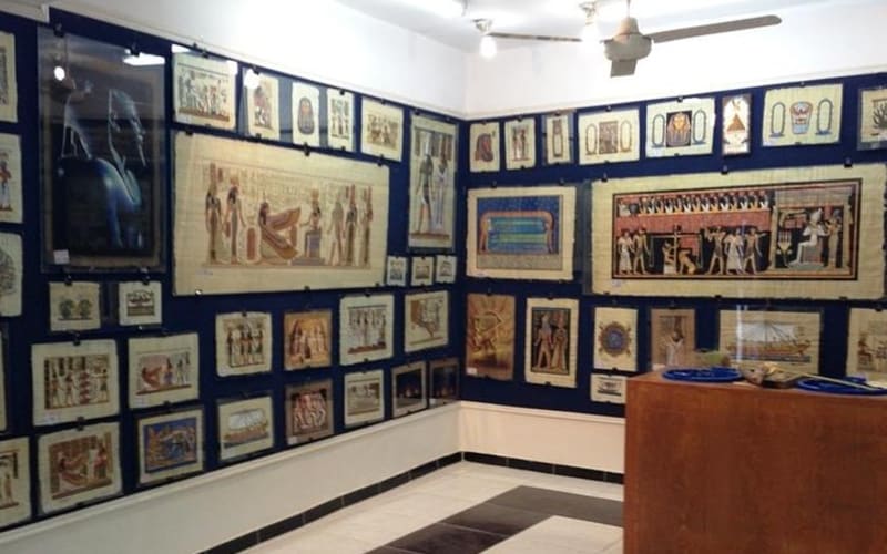 Papyrus Manufacturing Tour And Learn Papyrus making in Egypt - main image