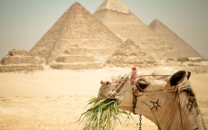 2 Full days tours in Cairo explore best of Cairo - main image