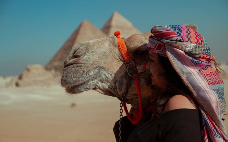 Cairo Tour To The National Museum of Egyptian Civilization, Citadel & Bazaar - main image