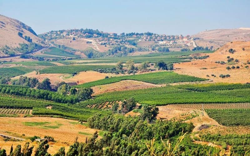 9-Night Israel Tour with Petra from Tel Aviv - main image