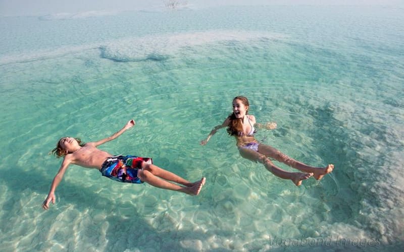 Dead Sea and Masada 1 day tour  - main image