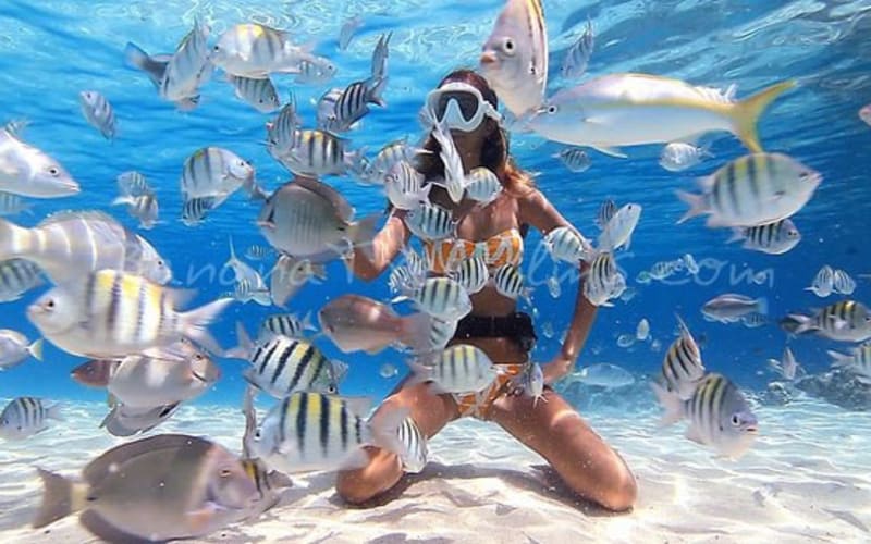 Full Day In Sharm El Sheikh From Cairo By Flight - main image