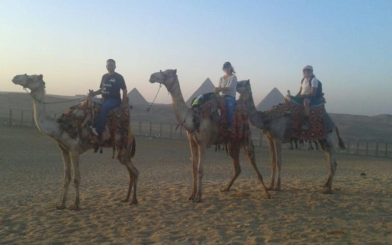 Half Day Tour Around Giza Pyramids By Camel - main image