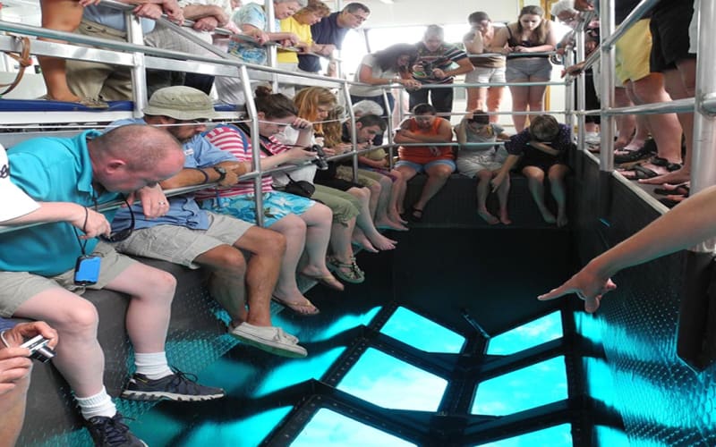 Private Transportation Tour Glass Bottom Boat In Sharm El Sheikh - main image