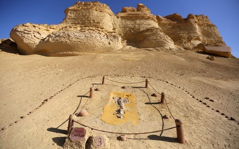 Private Tour Whales Valley And Wadi El Rayan Waterfalls In El Fayoum From Cairo - main image