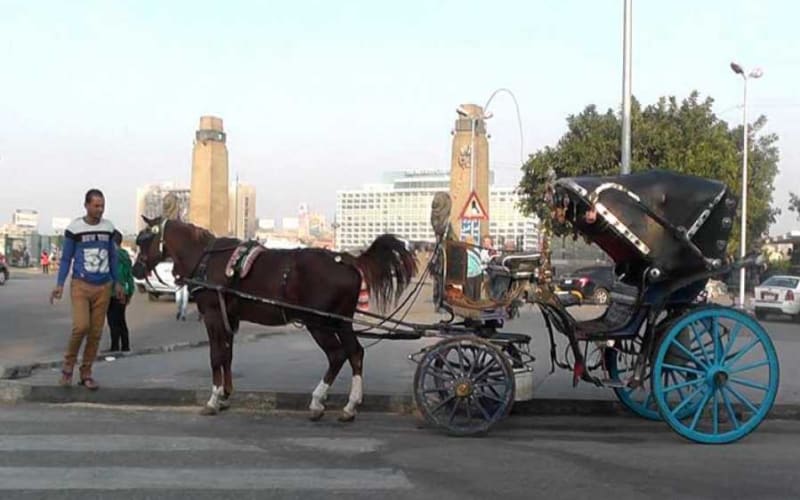 Discover The Amazing Nightlife Of Cairo And Riding the Carriage - main image