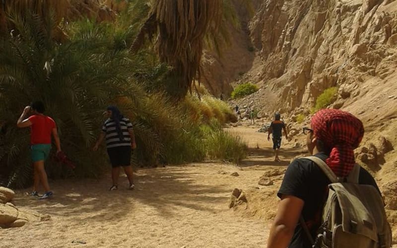 ATV Quad Bike Ride At Dahab - main image