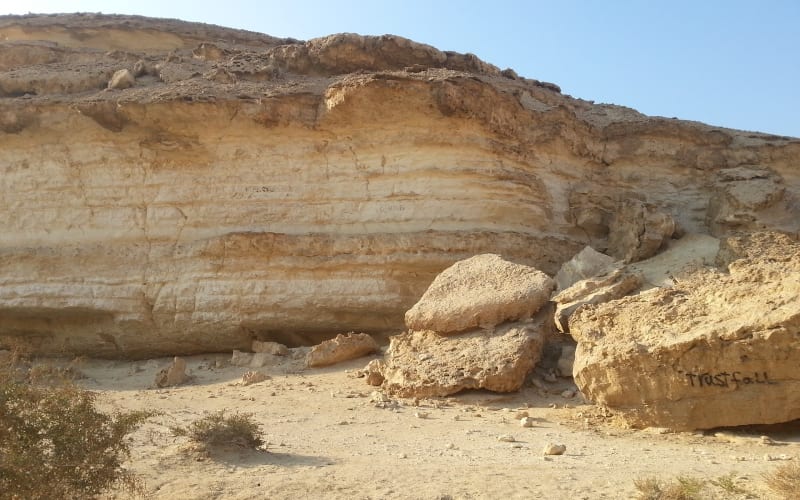 Unusual Day Tour To Wadi Degla Protectorate  In Cairo - main image