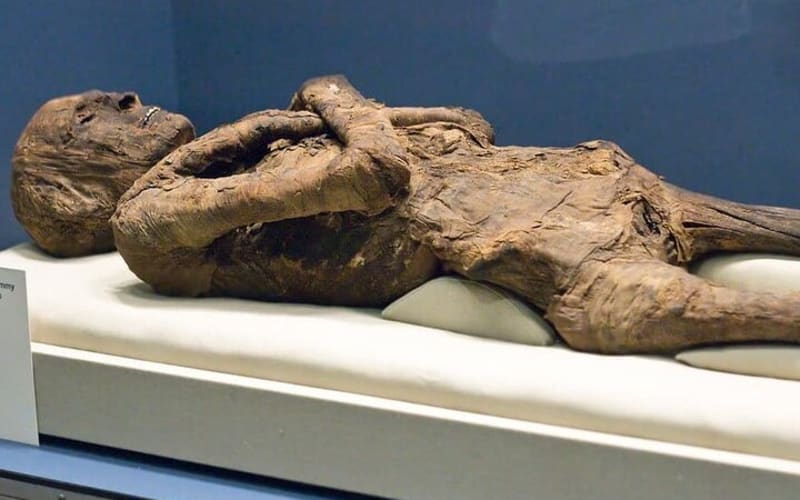Historical Day Tour To Luxor And Mummification Museums - main image