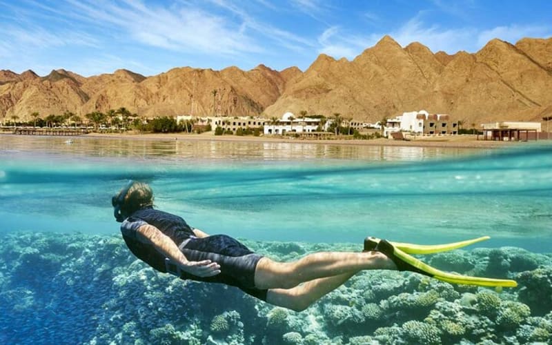 Full Relaxing Day To The Red Sea From Cairo Or Giza Hotel - main image