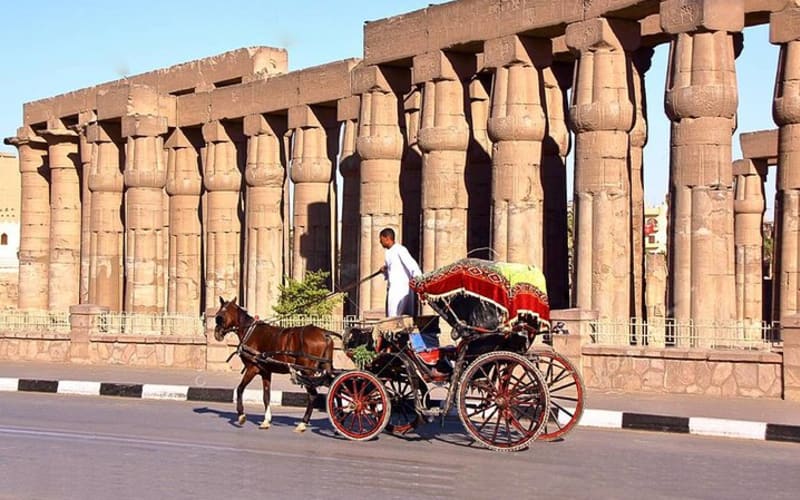 3-Hour Private Luxor Horse Carriage City Tour - main image
