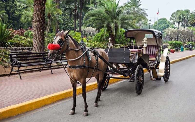 4-Hour Walking and Horse Carriage City Tour of Cairo - main image