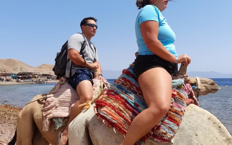 Private Day Tour To Blue Lagoon And Ras Abu Galum From Dahab - main image