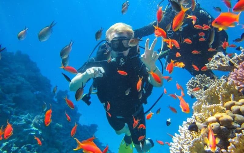 Budget Snorkeling Trip To Giftun Island - main image