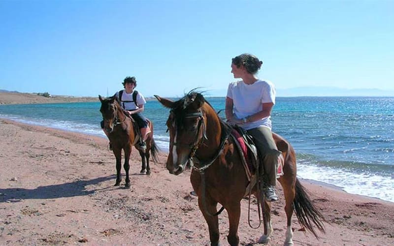 Adventure Safari By Horse In Sharm El Sheikh - main image