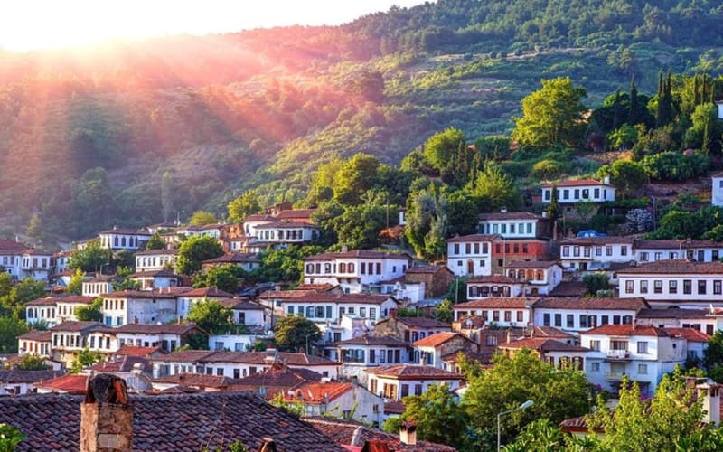 Small Group Ephesus & Sirince Village Tour From Kusadasi / Selcuk Hotels - main image