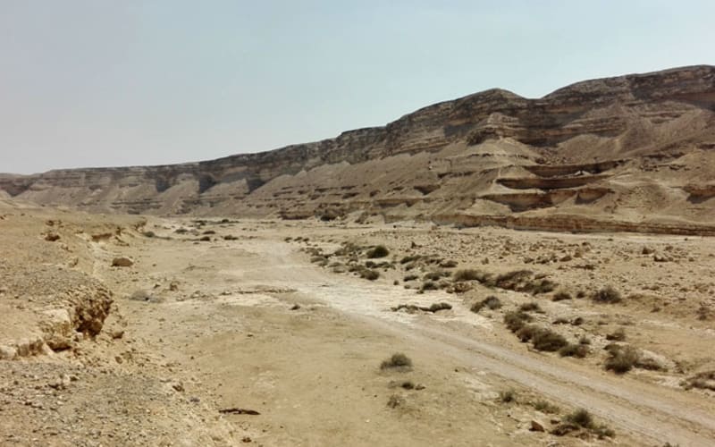  Safari Day Tour To Wadi El Gamal National Park From Marsa Alam - main image
