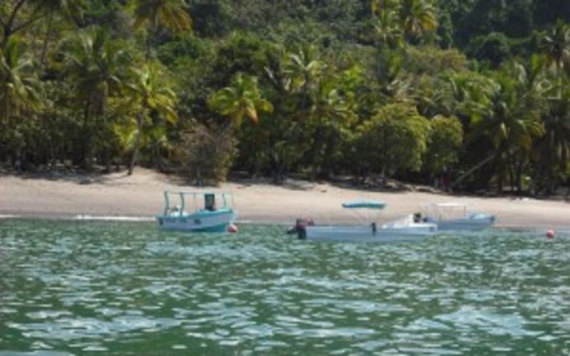Snorkling  Tour at caño island - main image