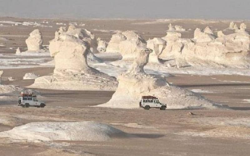 2 Day Trip to Bahariya Oasis with White Desert - main image