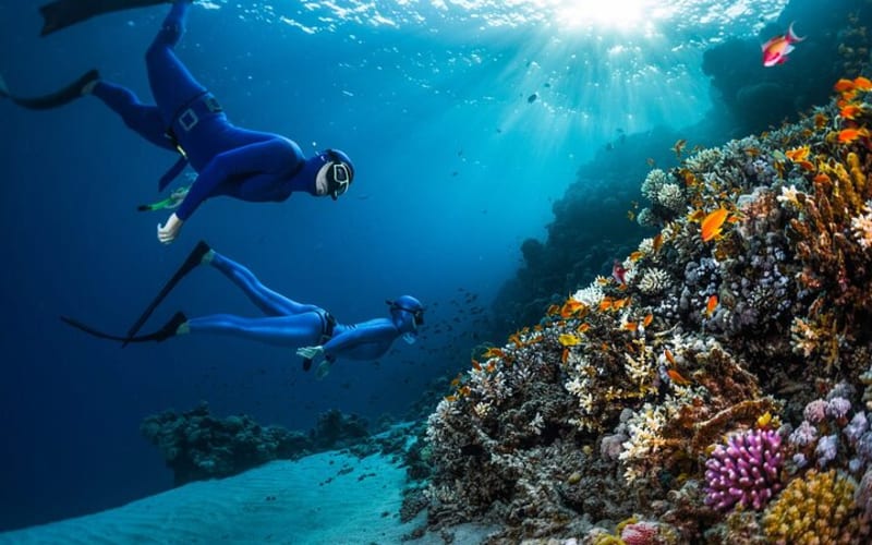 Budget Snorkeling Trip To Giftun Island in Hurghada  - main image